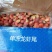 红太子特级龙虾尾，肉质Q弹