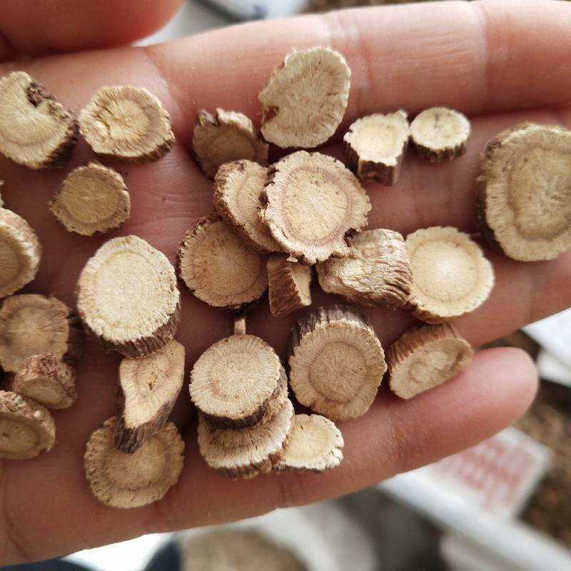 精选红芪红黄芪红皮芪冷背中药材红芪各种规格红芪片500克