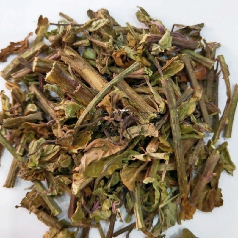 猫须草云南特级化石草肾茶野生猫须草中药材精选正品猫须草养
