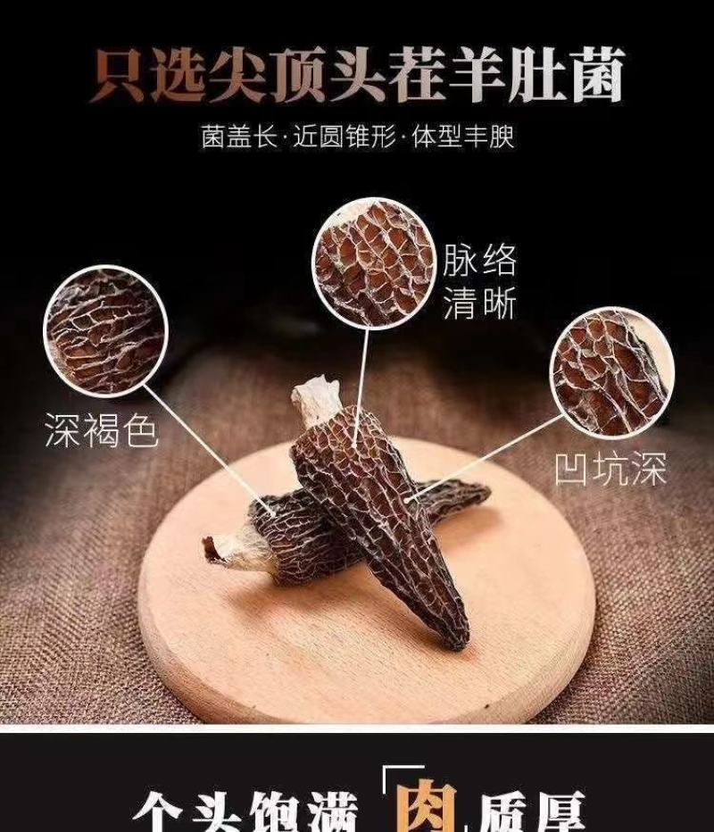 羊肚菌（批发零售代理）