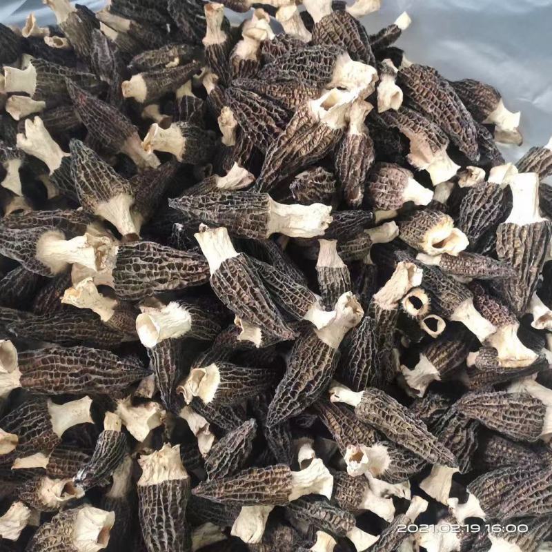 羊肚菌（批发零售代理）