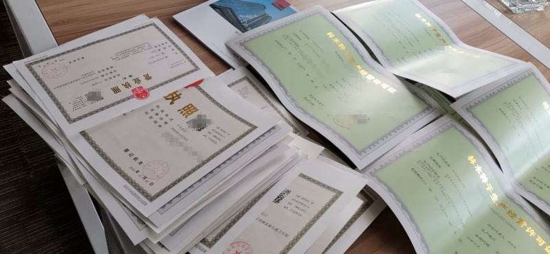 林木种子许可证办理，金丝楠木树苗零售批发