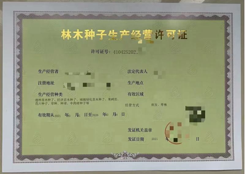林木种子许可证办理，金丝楠木树苗零售批发