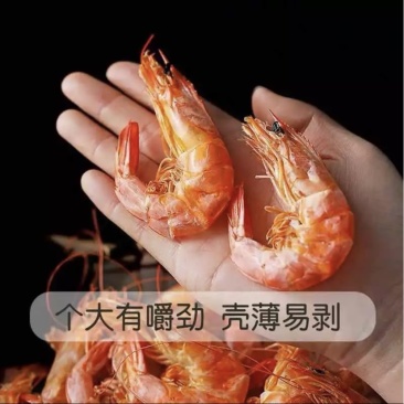 烤虾干海鲜特产干货大号对虾干货孕妇宝宝即食虾零食