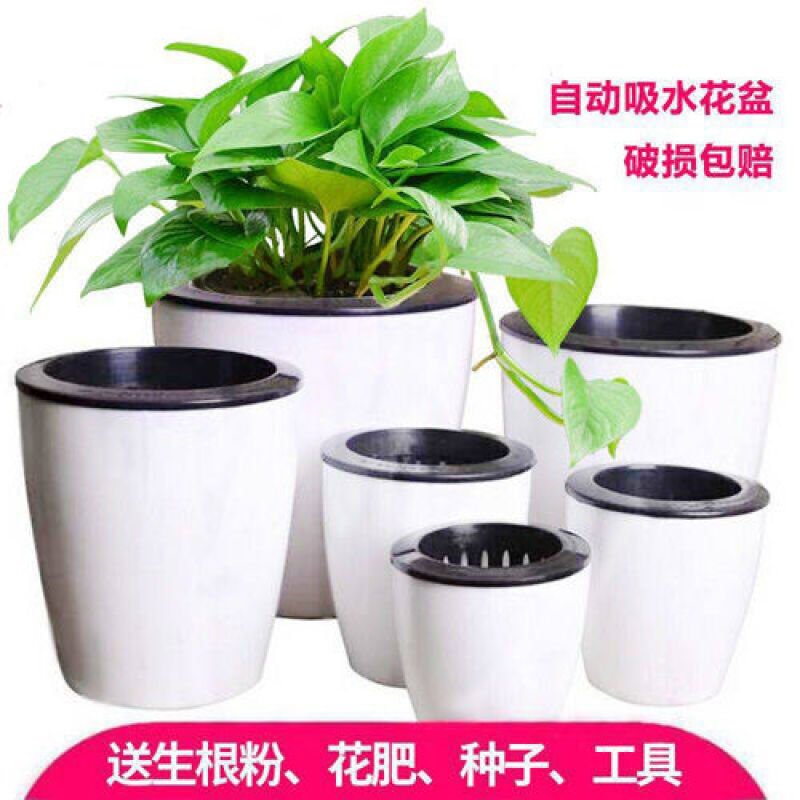 自动吸水懒人花盒选购自动吸水懒人盆厂家直销树脂大号创意