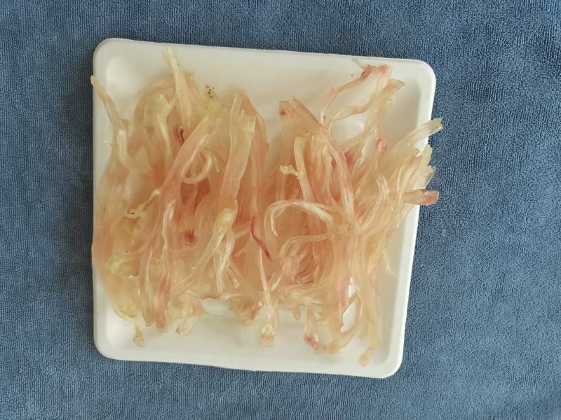 酒店专用特级短后主筋500g丰富胶原蛋白无添加剂真空包装