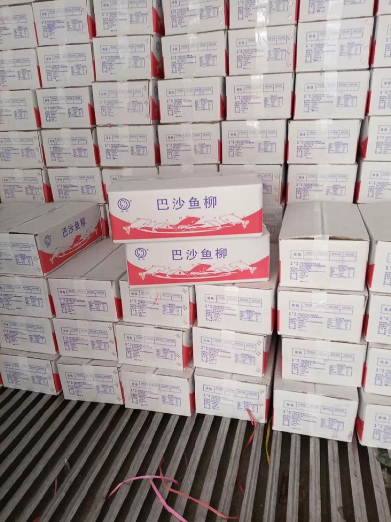 巴沙鱼柳巴沙鱼片去皮纯肉干冰单冻一件20斤