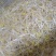豆芽，常年黄豆芽批发批发豆芽