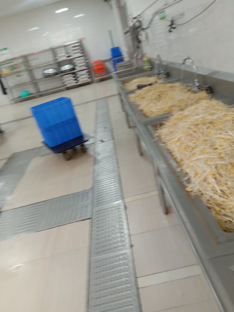 豆芽，常年黄豆芽批发批发豆芽
