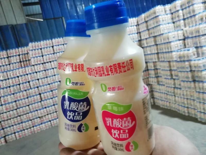 乳酸菌达利园乳酸菌饮料酸酸乳益生菌全国一手货源
