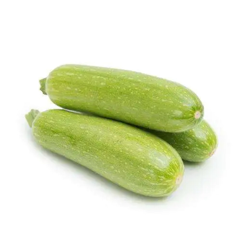 【热卖】山东西葫芦费县西葫芦可对接超市市场食堂