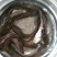 大口鲶鱼苗渔塘直供，一手货源技术指导养殖无忧