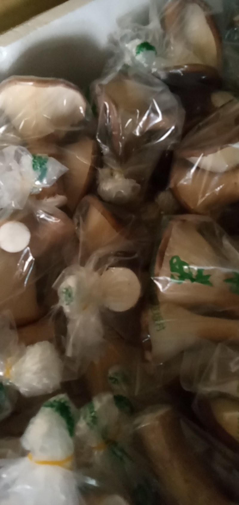 猪肚菇野生菌人工陪育