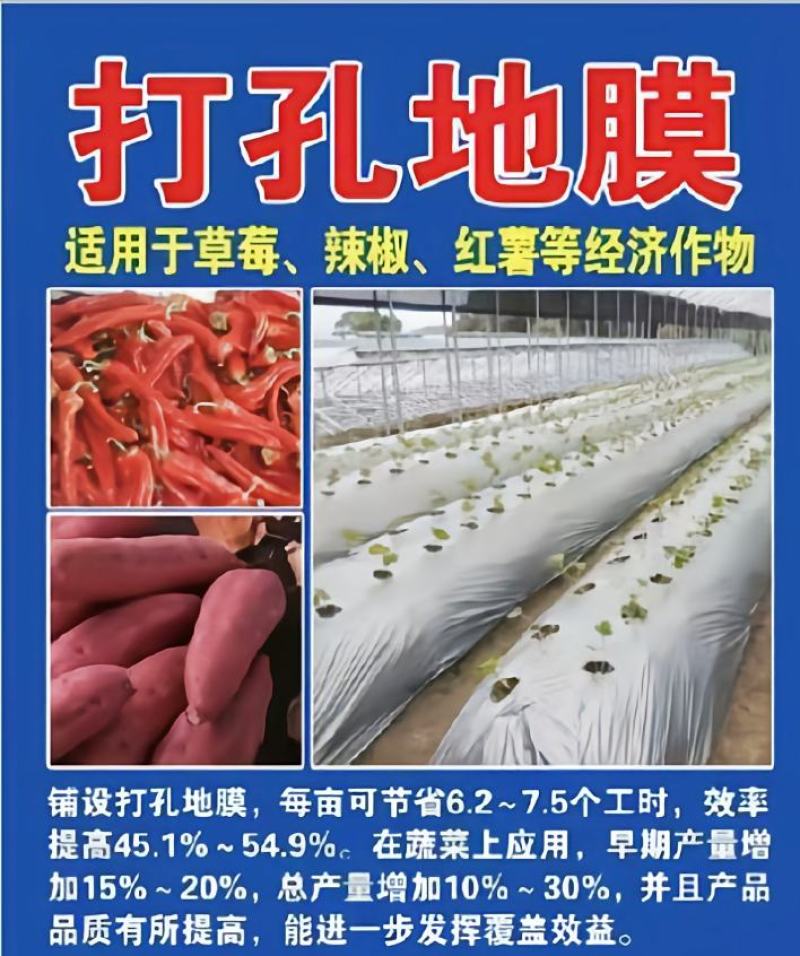 【打孔地膜】银黑双色反光防草打孔地膜专业设计定制