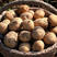 甘肃土豆西森，226土豆实地看货全国发货欢迎联系