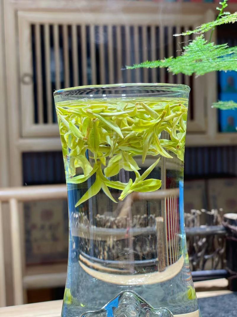 这个春天只为等这一杯鲜高香头采安吉白茶