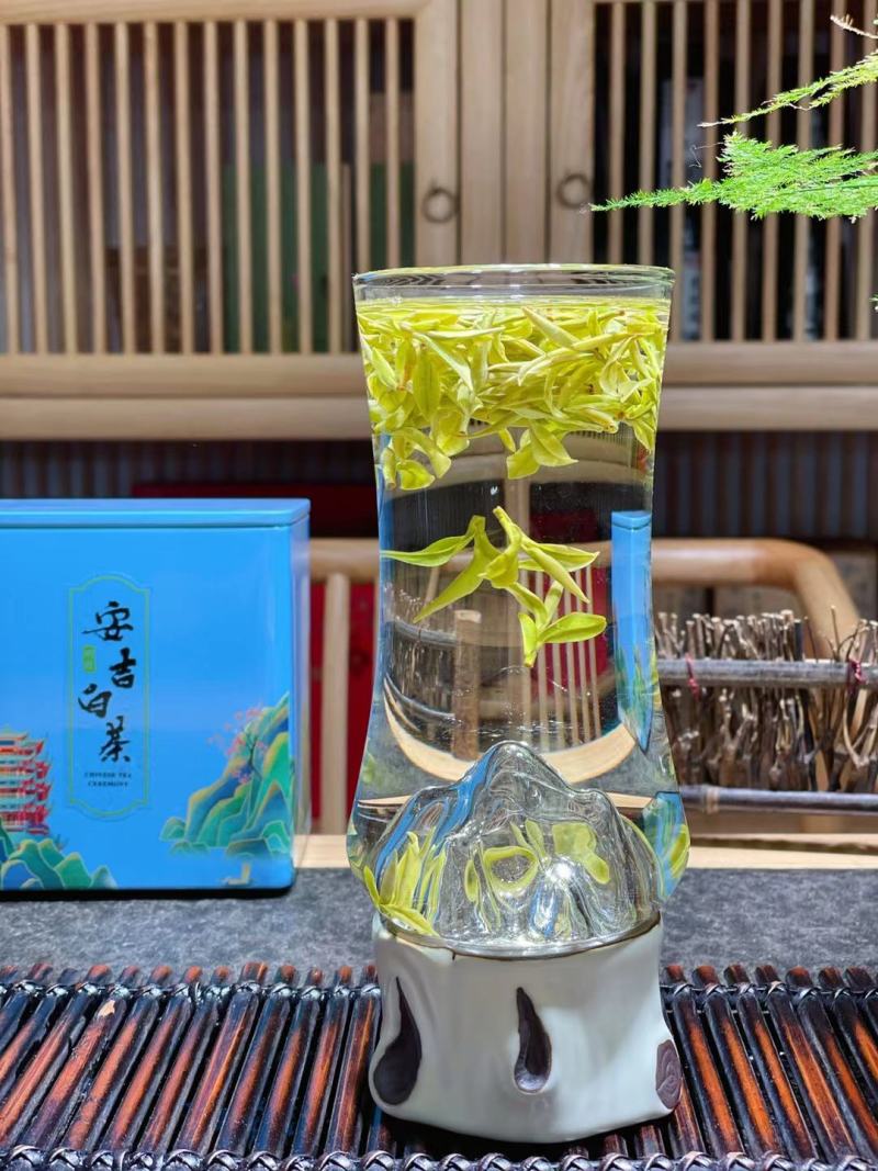 这个春天只为等这一杯鲜高香头采安吉白茶