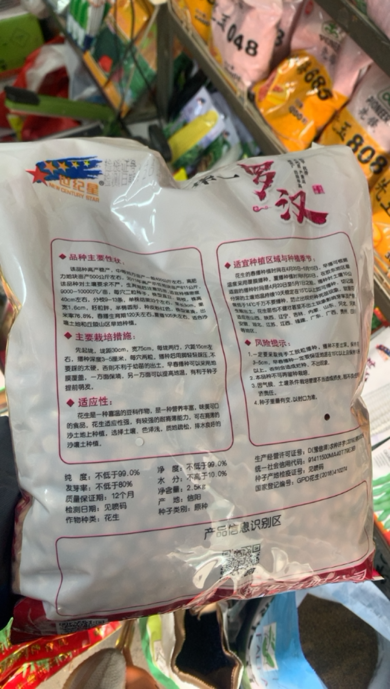 华一红火001罗汉净籽花生种子纯手工脱粒