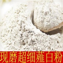 中药材粉正品薤白粉野白头野蒜品质保证散装包邮