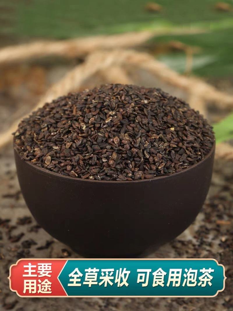 车前草种子纯新种子发芽率高提供种植技术
