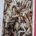 新鲜梭子蟹蟹钳大号中号小号都有货