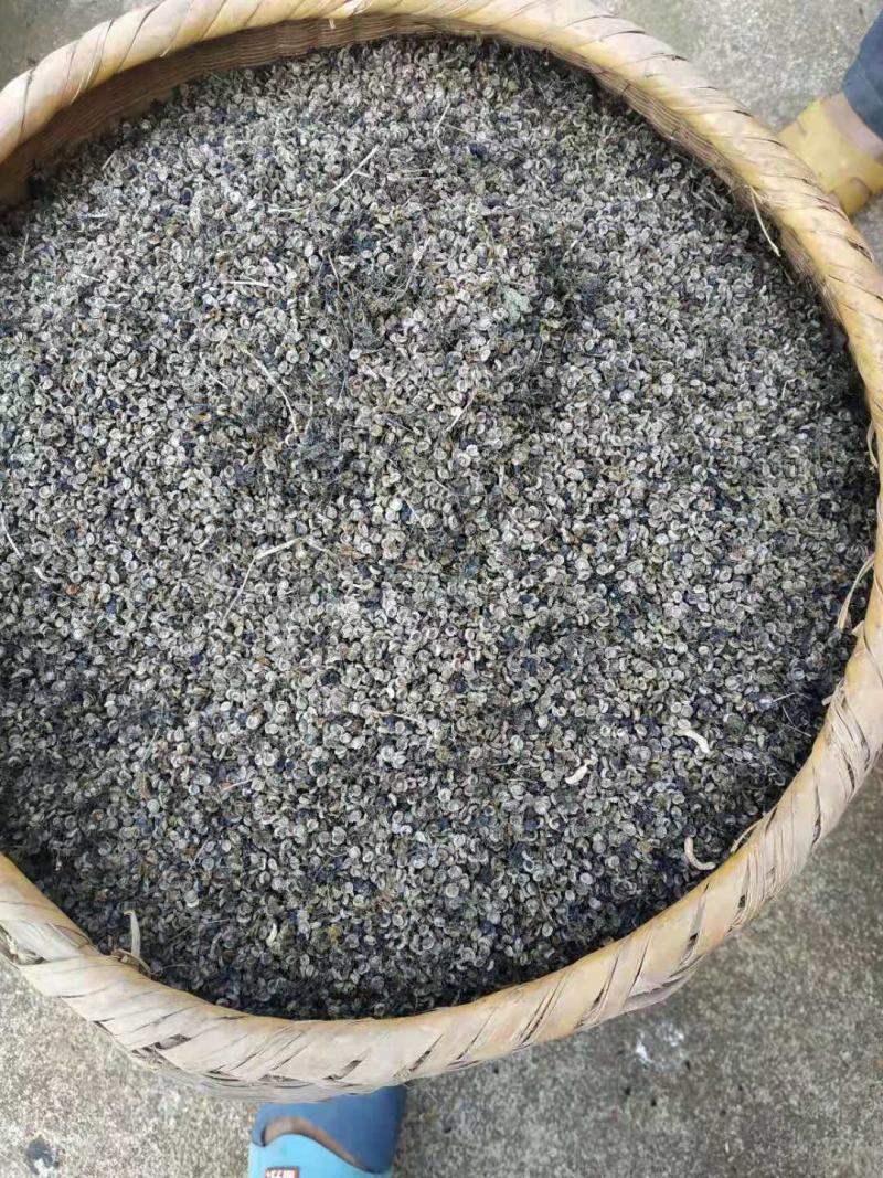 粉防己种子、自家粉防己釆摘，品质保证。提供技术支持