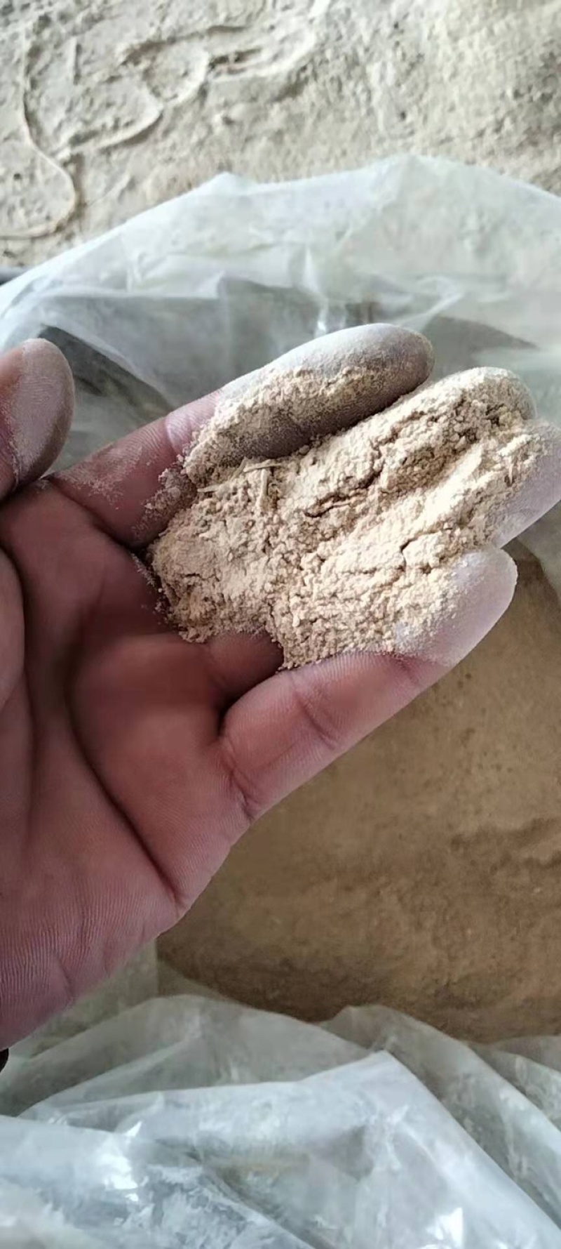 次蒜粉、质量好蒜粉粉碎、