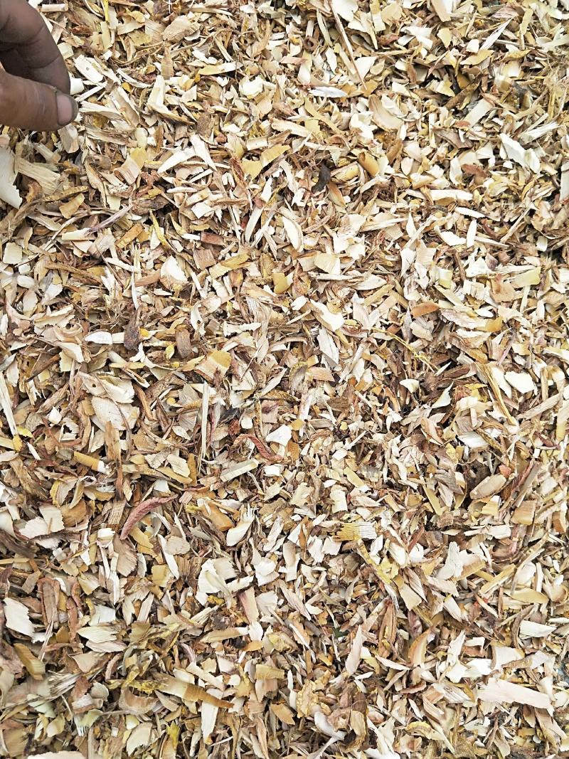 纯野生穿破石切片切段有需要的老板欢迎来电咨询。