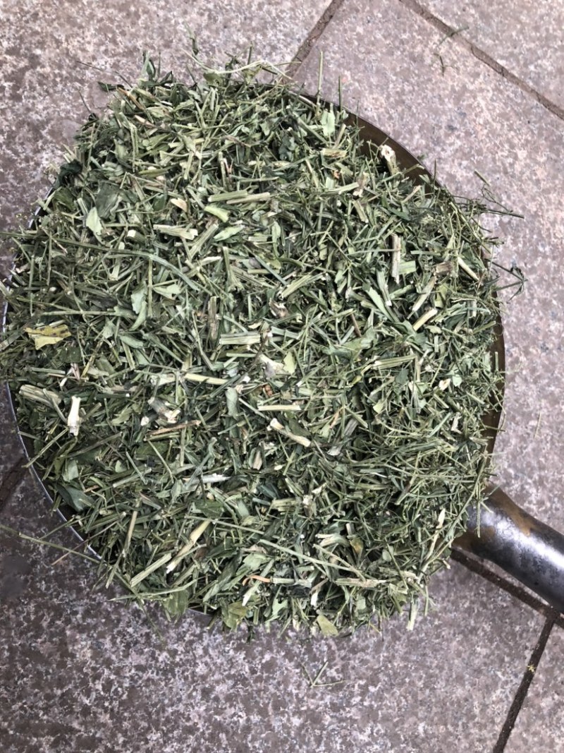 穿心莲产地直销一手货源支持药检量大从优