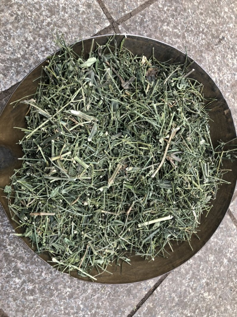穿心莲产地直销一手货源支持药检量大从优