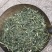 穿心莲产地直销一手货源支持药检量大从优