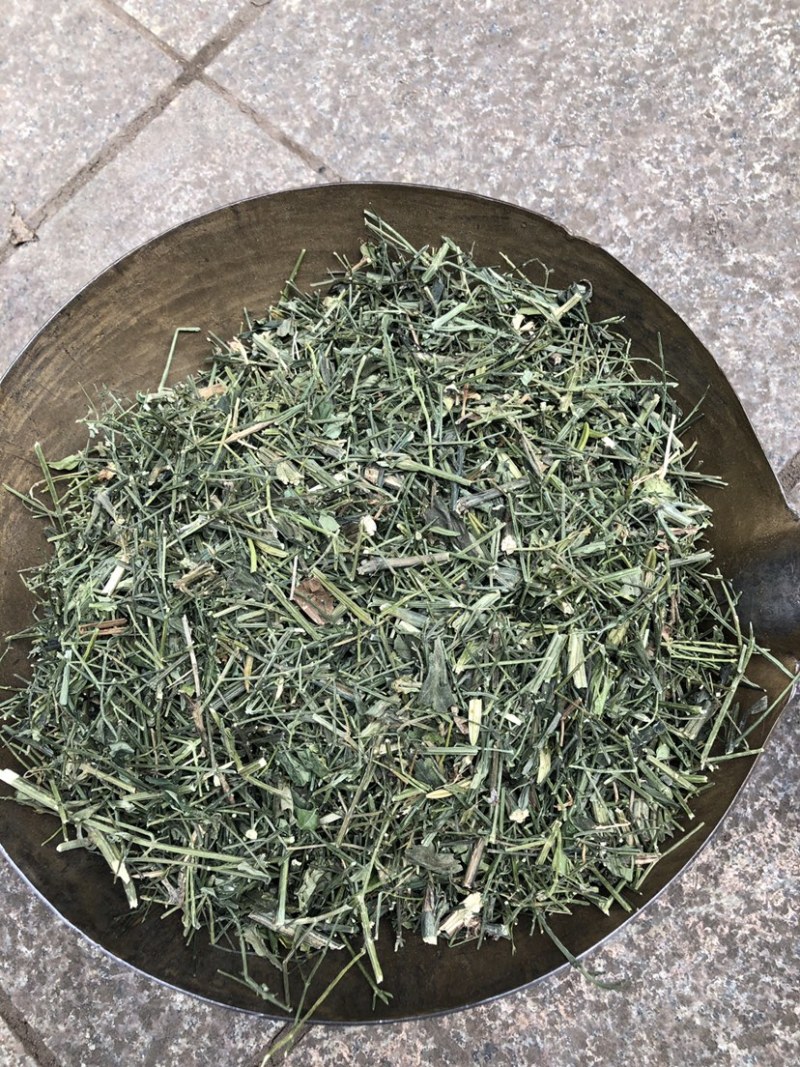 穿心莲产地直销一手货源支持药检量大从优