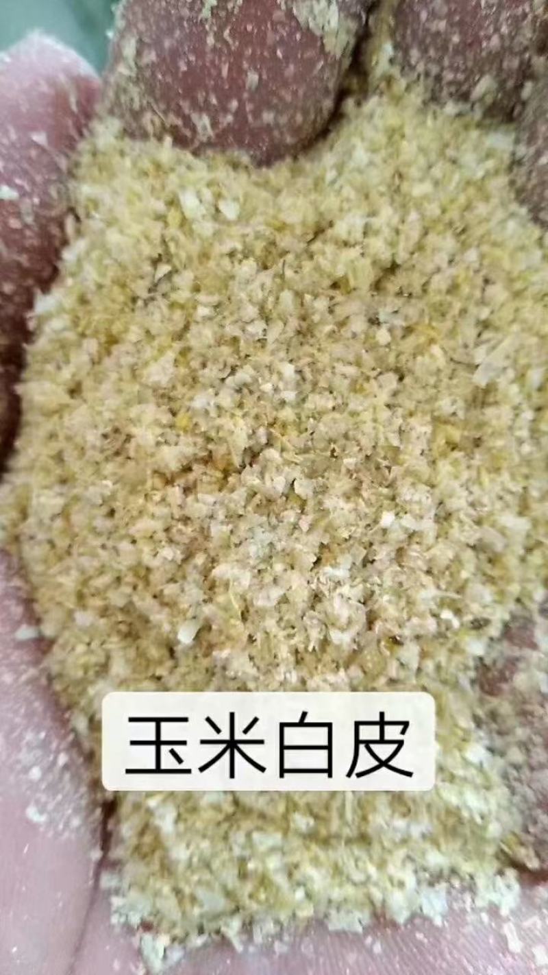 保龄宝碎白皮保龄碎白皮