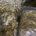 猫猫鱼/油炸小鱼干，质量保证，一手货源价格便宜，需要联系