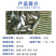 鲮鱼苗土麦淡水养殖泰草鱼鲫鱼四大家鱼放生活体鱼