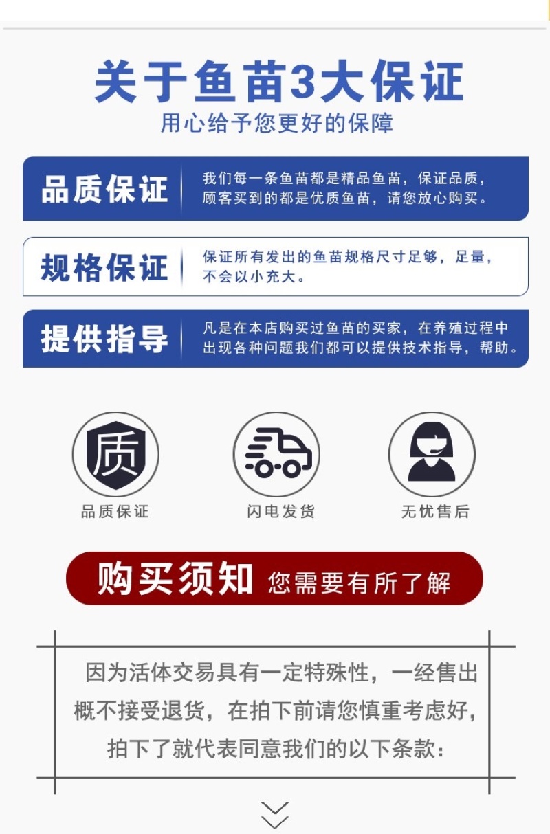 花鲢鱼苗大头鱼苗小鱼苗半斤胖头淡水鳙鱼鱼苗花白鲢鱼