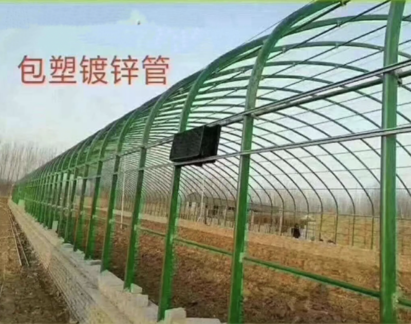 天津棚钢管，包塑镀锌管包塑镀锌椭圆管，厂家直发，质量保证