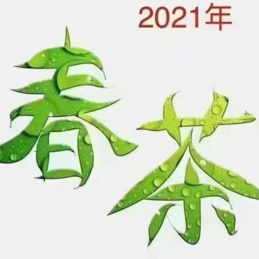 2021新茶大部分到货了，货品齐全，货品不多，现货供应