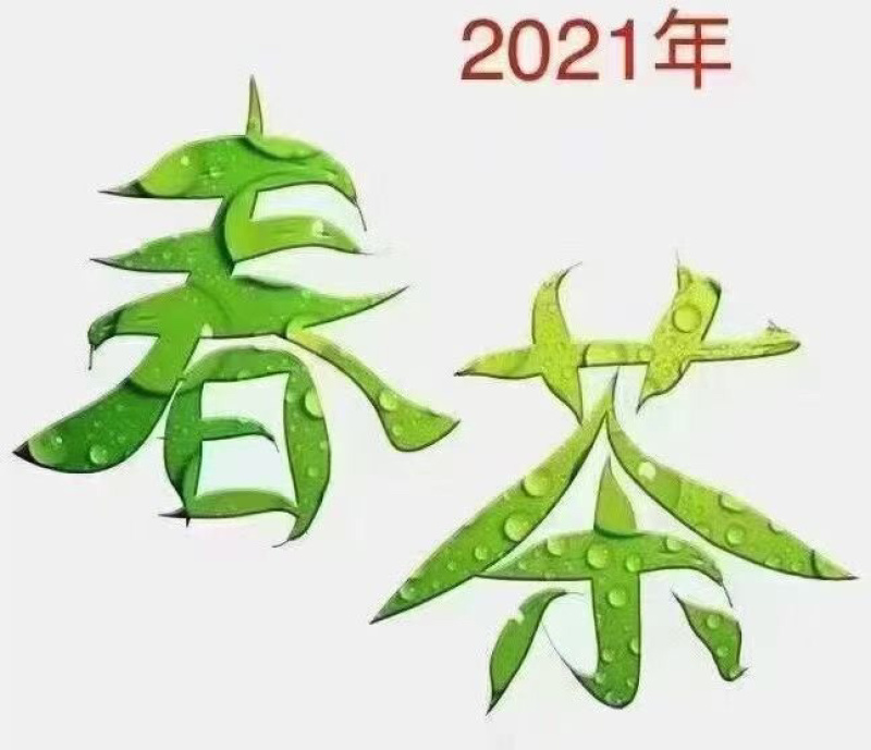 2021新茶大部分到货了，货品齐全，货品不多，现货供应