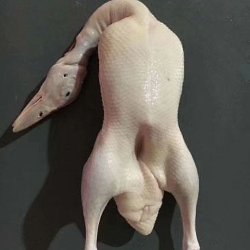 一级白条鸭全规格价格低廉，量大从优！！