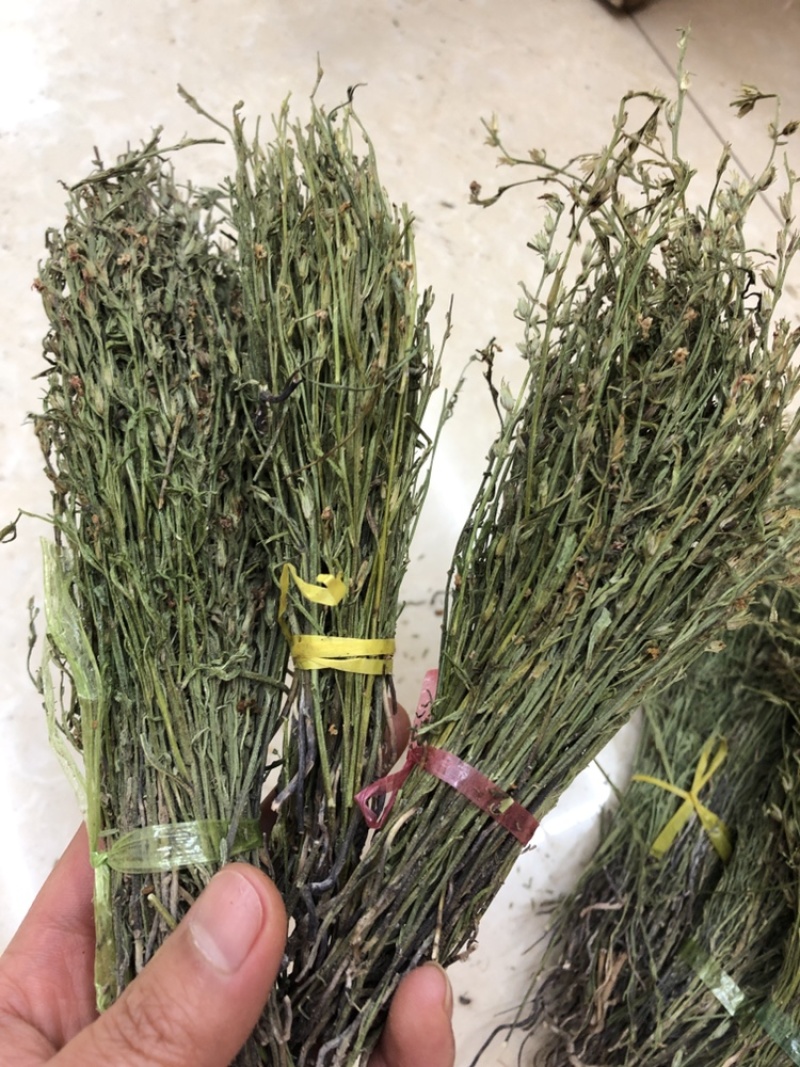 独脚金，颜色绿，干度好，一手货源，长期有货