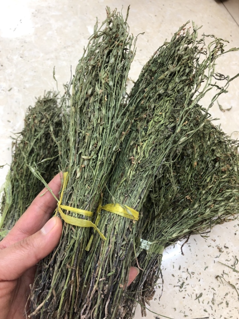 独脚金，颜色绿，干度好，一手货源，长期有货
