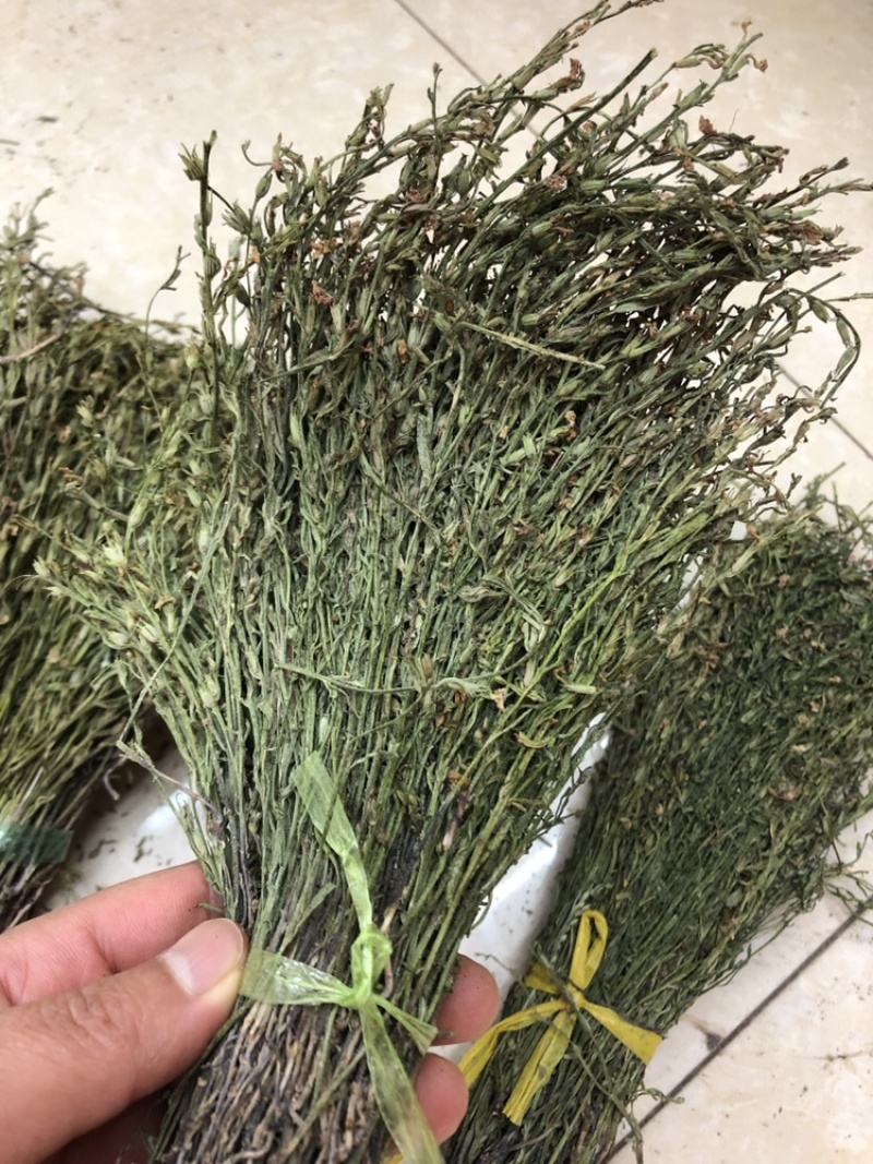 独脚金，颜色绿，干度好，一手货源，长期有货