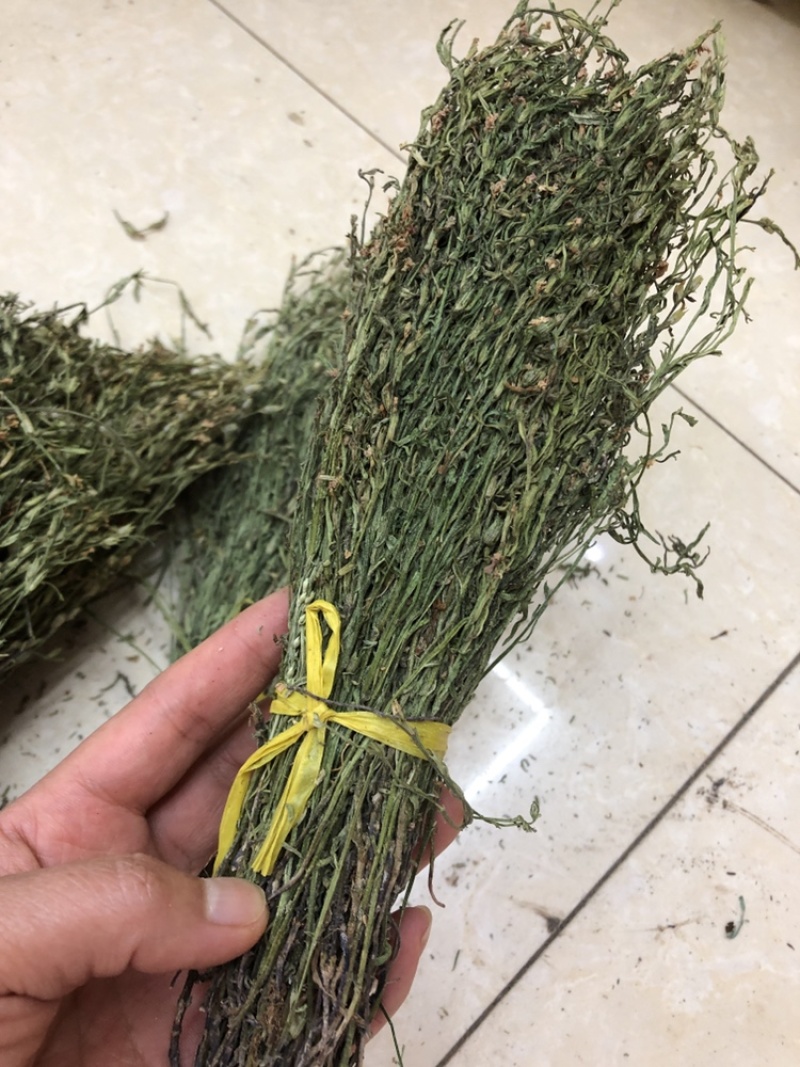 独脚金，颜色绿，干度好，一手货源，长期有货