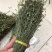 独脚金，颜色绿，干度好，一手货源，长期有货