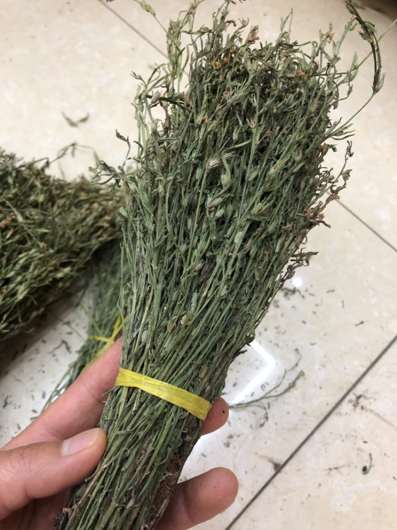 独脚金，颜色绿，干度好，一手货源，长期有货
