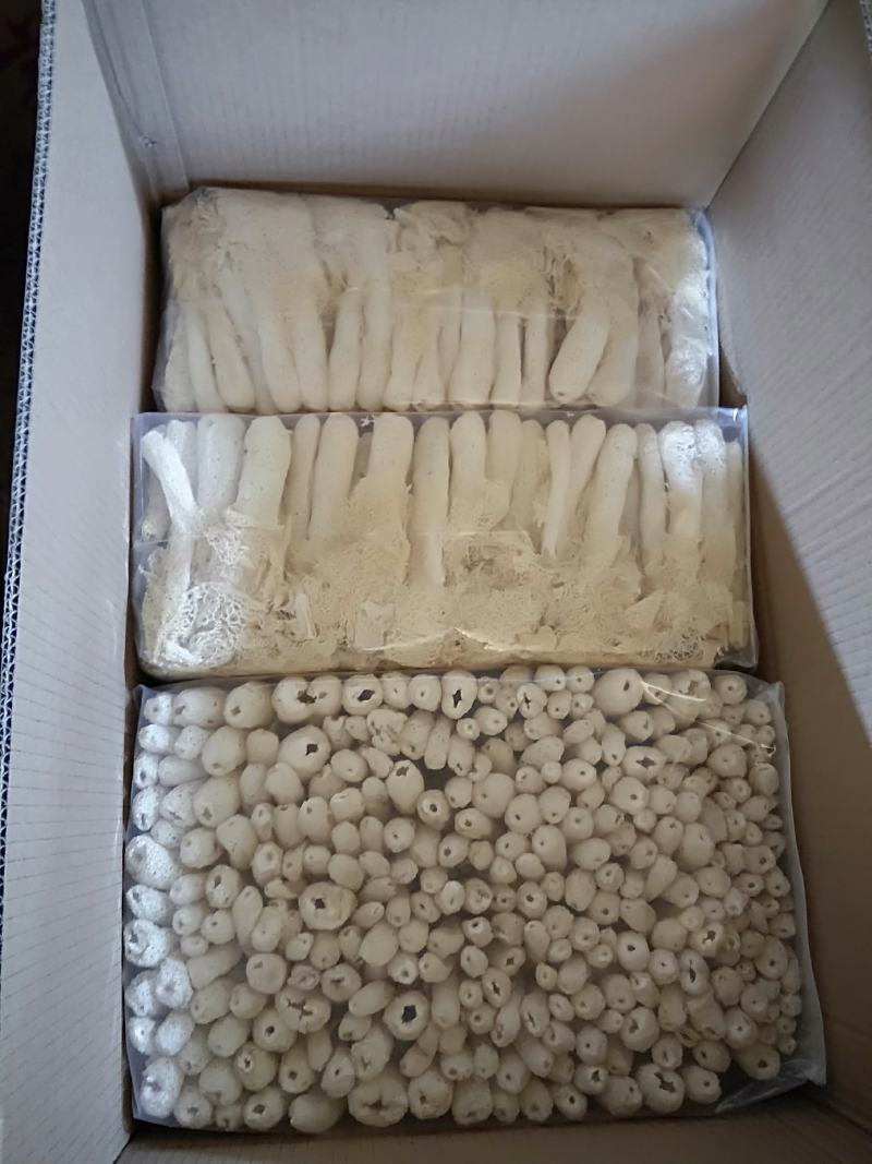 热卖中新货竹荪！一手货源，各种规格都可订做！欢迎电话联系