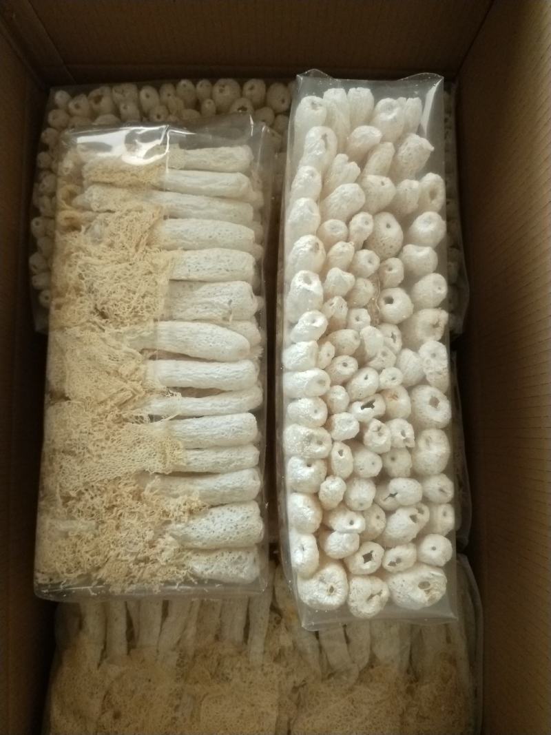 热卖中新货竹荪！一手货源，各种规格都可订做！欢迎电话联系