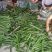 加祥四季蔬菜专业合作社。每大量有货，诚信经营