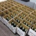 80年老藤佳酿蒙洛百年酒庄高品质葡萄酒诚招代理商